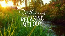 Peaceful Piano Music • Beautiful Relaxing Music • Relaxing sleep music, meditation music