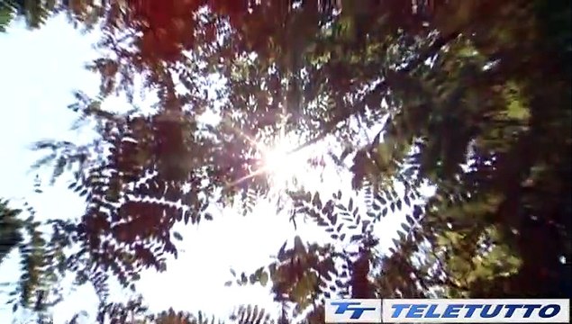 Video News - CALDO, SOLO UNA TREGUA