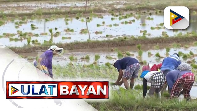 Mga magsasaka sa Malolos, apektado na rin ng kakulangan ng suplay ng tubig