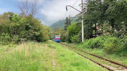 pexels-igor-gertsev-7731108 (1080p)