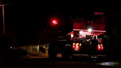 Bursa'da orman yangını: Sıkıldım, canım istediği için yaktım