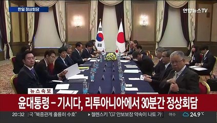 [속보] 윤대통령-기시다, 리투아니아에서 30분간 정상회담