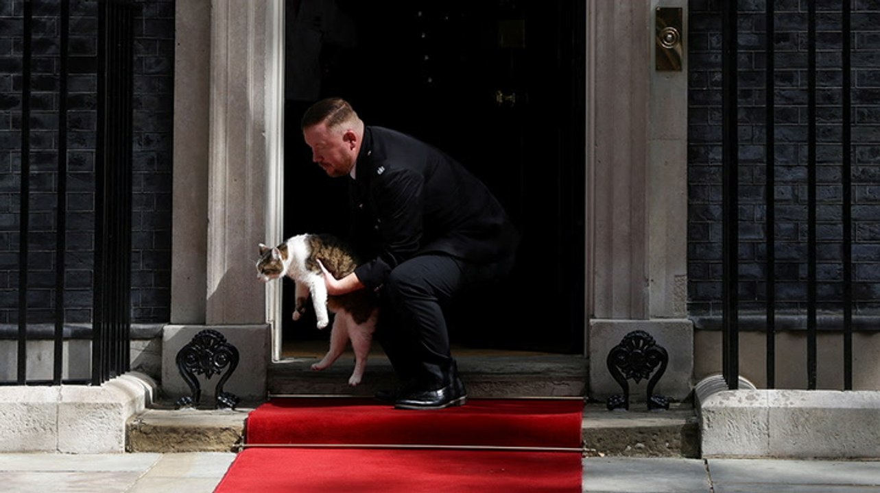 Downing Street staff booed as they remove Larry the cat from No 10 doorstep