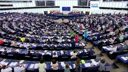 Gesetz zur Wiederherstellung der Natur mit knapper Mehrheit angenommen