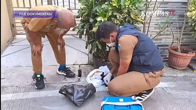 Dinas KPKP Soal Penyebab 21 Ekor Kucing Mati Misterius di Sunter