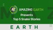 Amazing Earth: Top 5 snake stories (Online Exclusives)