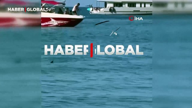 Plajda yüzen vatandaşlar denizi taş yağmuruna tuttu! Köpek balığı sandılar ama...
