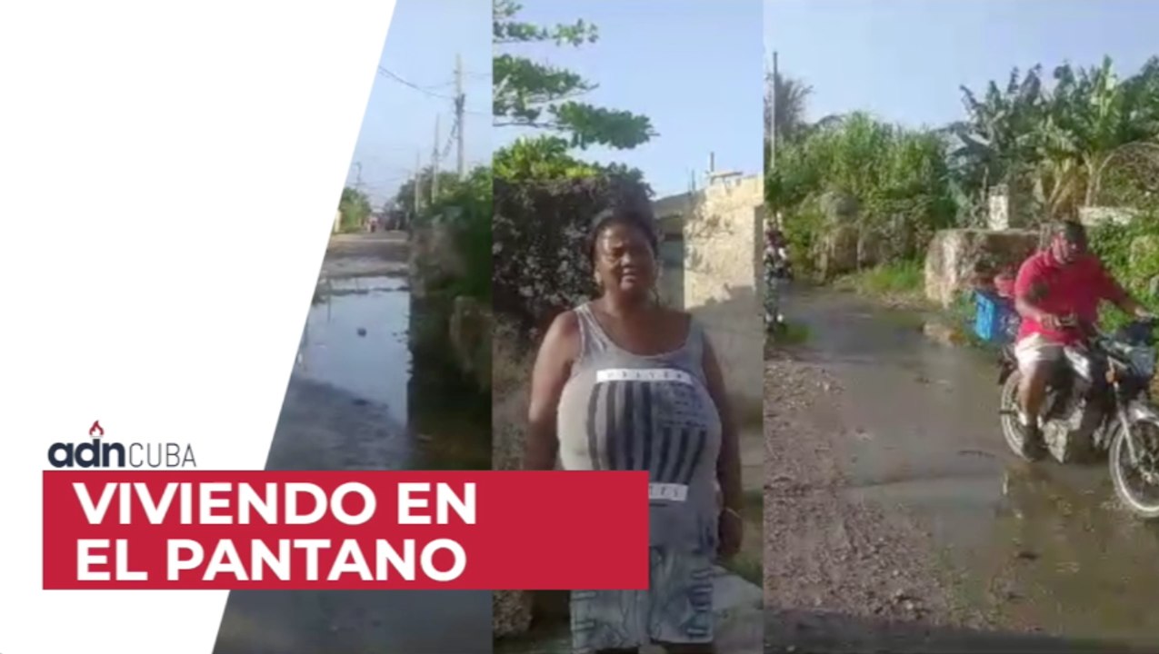 Viviendo en el pantano. Denuncia