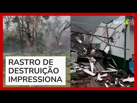 Vendaval arranca árvores pela raiz e destrói galpão no interior de SC
