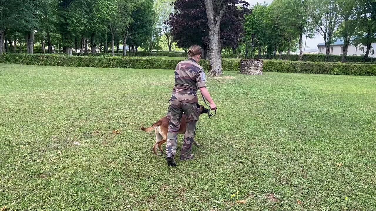 14-Juillet : le Caporal Florence et son chien Porix, du 132ème régiment d'infanterie cynotechnique de Suippes vont défiler sur les Champs-Elysées