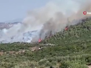 Milas'ta orman yangını başladı