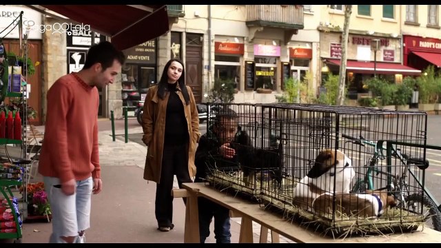Notre Paradis Bande-annonce (EN)