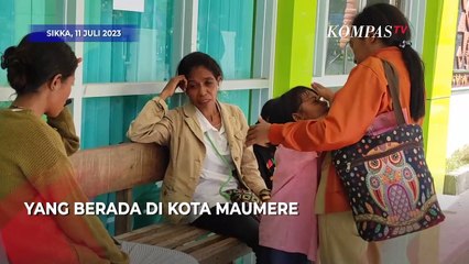 Berstatus KLB Rabies, Warga Sikka Berburu Vaksin