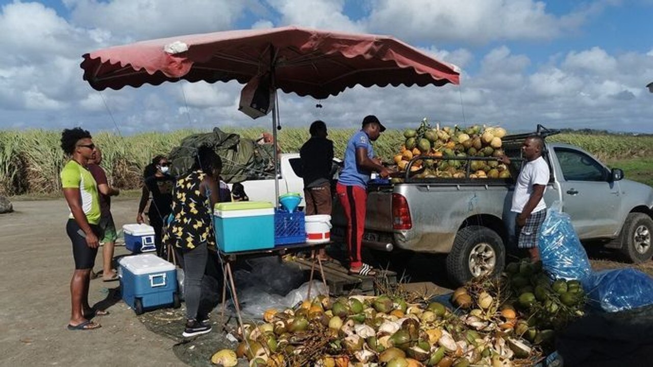 Echappées belles - Spéciale Martinique gourmande