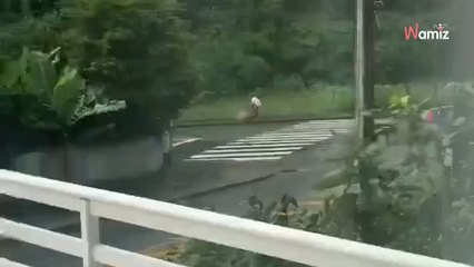 Sur le chemin de l'école, une ado a un réflexe qui va sauver une vie précieuse (vidéo)