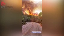 Muğla Milas'ta yangın: Otluk alandan ormana sıçradı