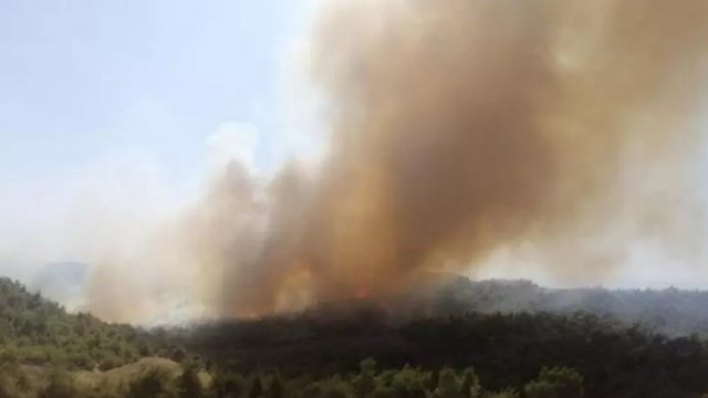 Adana'nın Sarıçam ilçesinde orman yangını