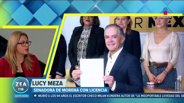 Espectaculares de las corcholatas y aspirantes de la oposición: Lucy Meza opina