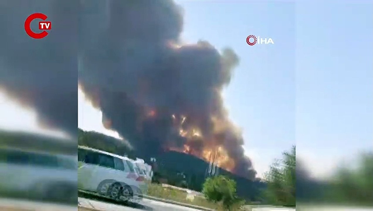 Muğla'da otluk alanda çıkan yangın ormana sıçradı!