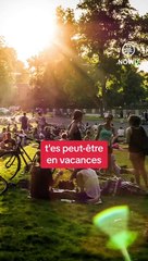 Les activités écolo de l'été et celles qui ne le sont pas !