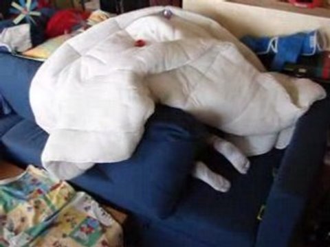 MA CABANE A ST FRANCOIS