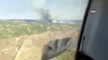Adana'da orman yangını: Ekipler havadan ve karadan müdahale ediyor