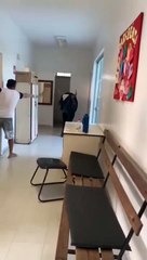 Boi invade e causa confusão em posto de saúde