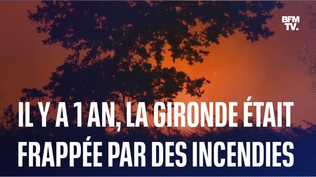 On y pense tous les jours : 1 an après les incendies en Gironde, les habitants sont sur le qui-vive