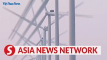 Vietnam News | Wind power project attracts tourists
