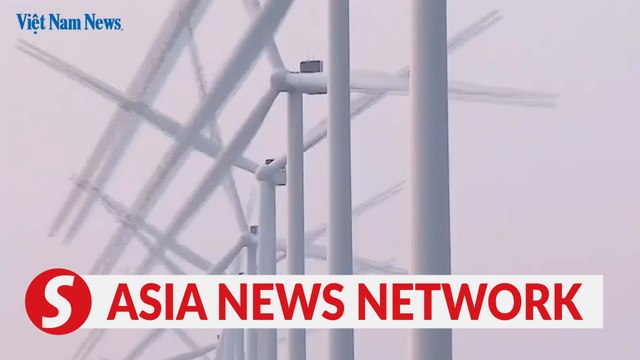 Vietnam News | Wind power project attracts tourists
