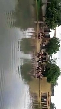 प्रदेश के इस जिले में हुई रिकार्ड बारिश से हर खेत में भरा पानी