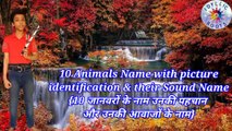 Animals name | 10 animals name | animals sound | Animals name & sounds | Animals name for kids