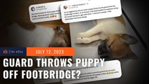 Netizens outraged as security guard allegedly hurls puppy off mall footbridge
