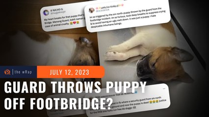 Netizens outraged as security guard allegedly hurls puppy off mall footbridge