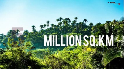 Amazon Forest | How Mysterious and Dangerous it is And How much area is it spread over | 21st Century Discovers