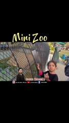 Fatima saw 5 Alligators l Mini Zoo l Imran Zaman