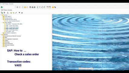 SD Check a sales order