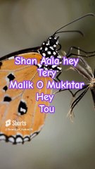 #Beautiful Hamd#Beautiful Nature#Shorts#Shorts with lyrics#