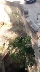 Old Man Races Against Time to Capture a Self-Portrait