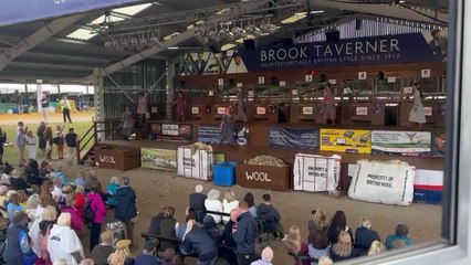 'Sheep to chic fashion show' with Christine Talbot at the Great Yorkshire Show Day 2023
