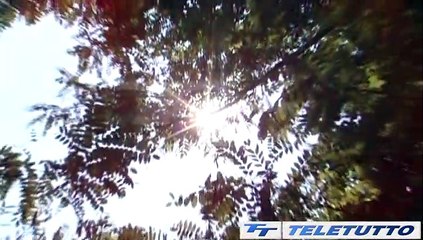 Video News - CALDO, ALTRA ONDATA IN ARRIVO
