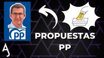 PROPUESTAS DE PP
