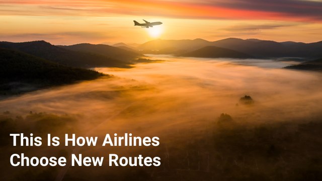 This Is Exactly How Airlines Choose New Routes