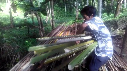 Every day I try to take care of the plants in the garden and repair my house