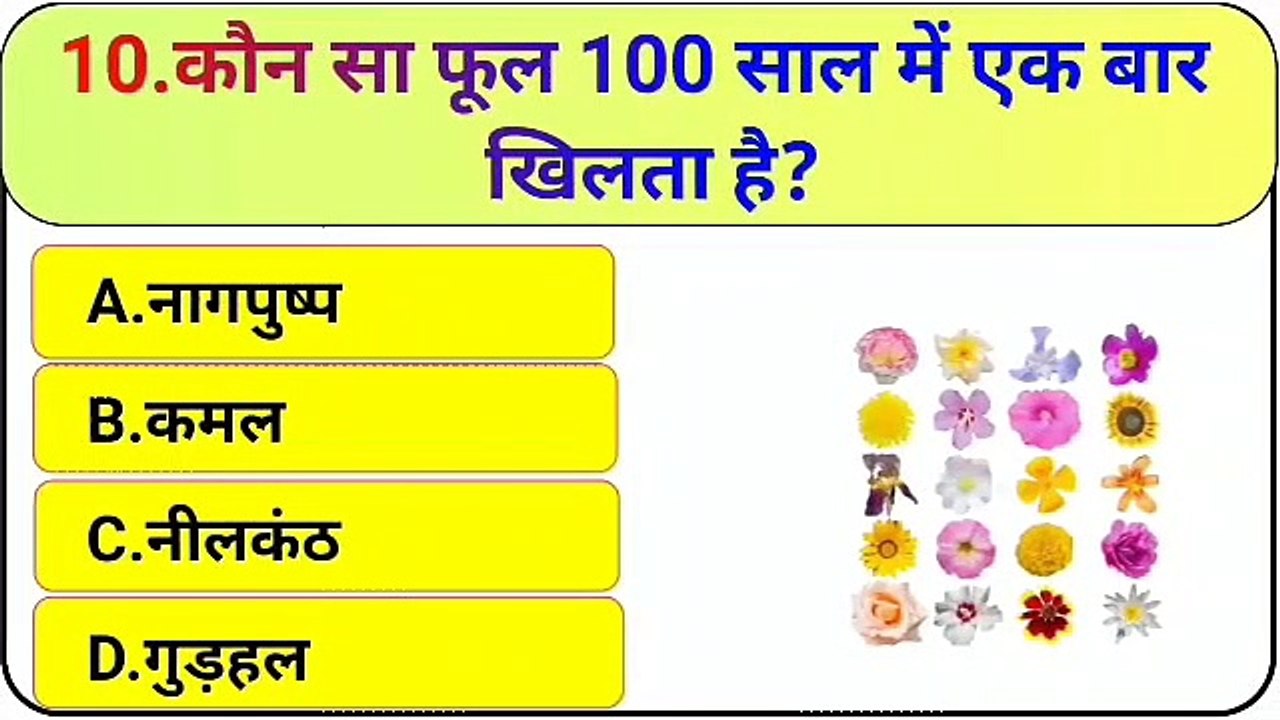 GK Question || GK In Hindi || GK Question and Answer