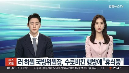러 하원 국방위원장, 수로비킨 행방에 "휴식중"