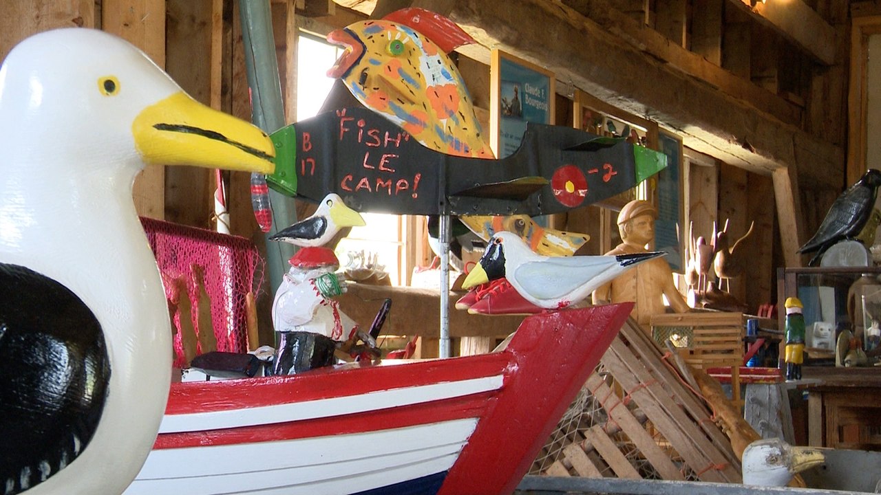 Découverte du musée de la promeneuse d’oiseaux...