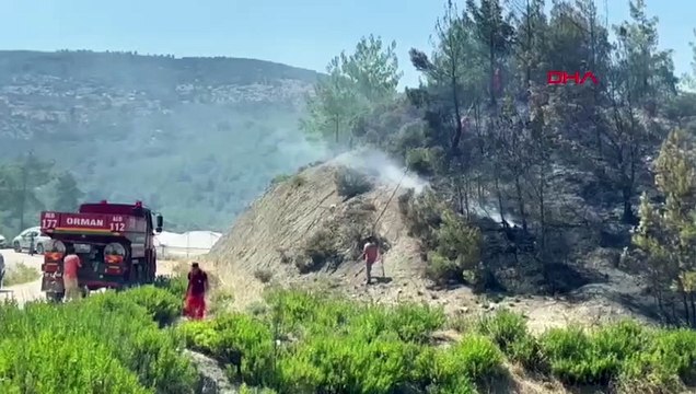 2 hectares de forêt de pins rouges ont été endommagés dans l'incendie de forêt à Kaş