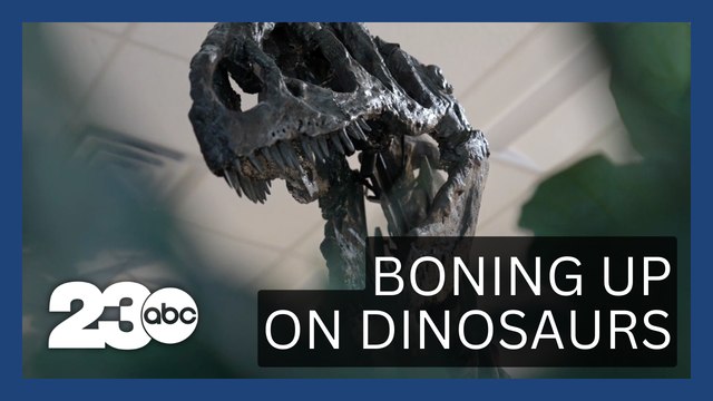 Reviving Dinosaurs: New Museum Connects the Dots