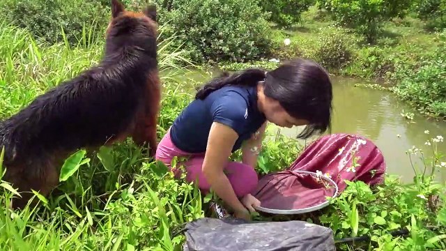 Best Amazing Hook Fishing Video 2022 _ Fishing With Hook _ Catching Catfish by Hook